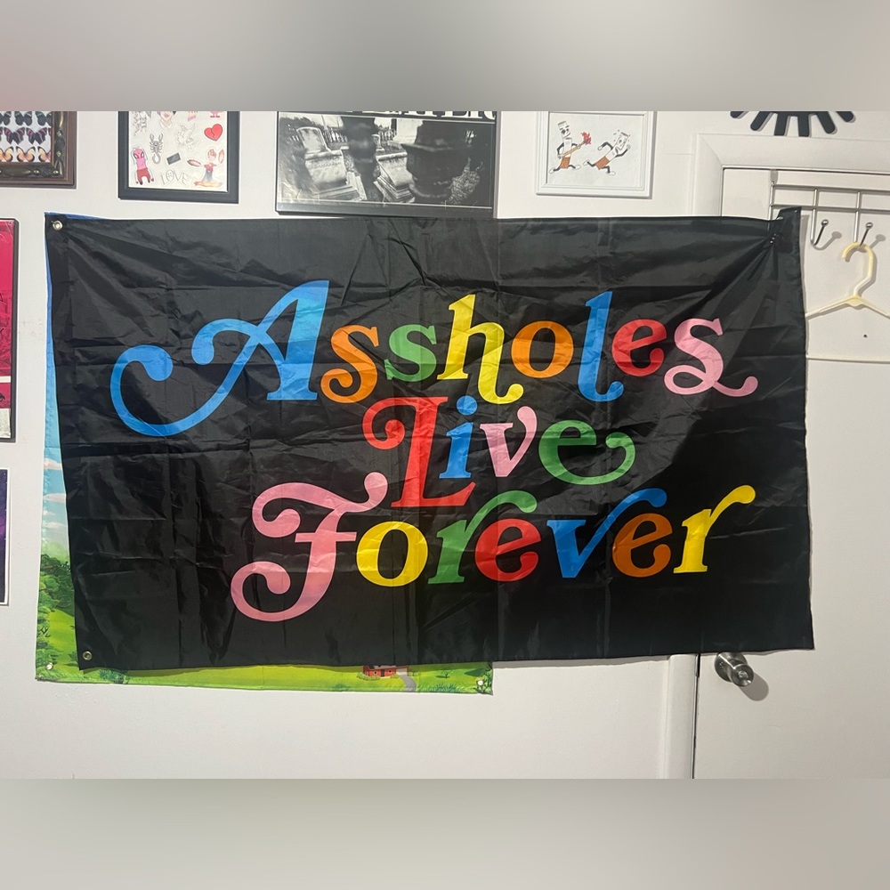 Colorful Wall Flag - Assholes live forever